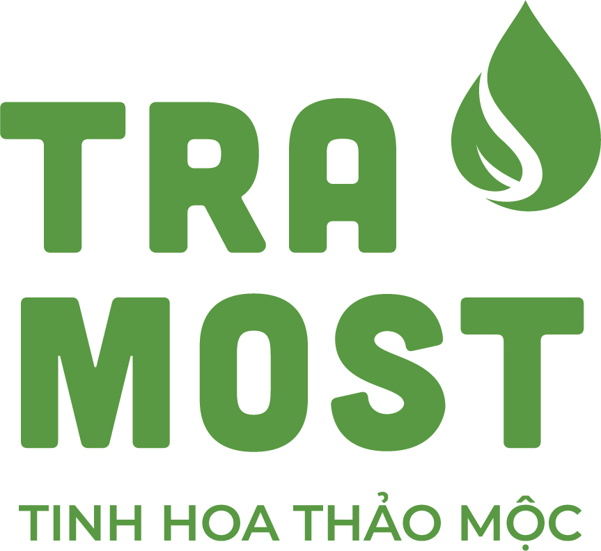Logo Tra Most