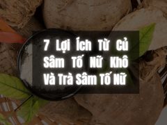 7 Lợi Ích Từ Củ Sâm Tố Nữ Khô Và Trà Sâm Tố Nữ