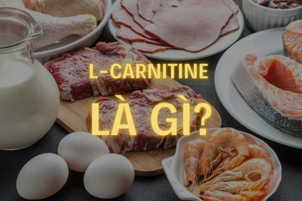 L- Carnitine uses