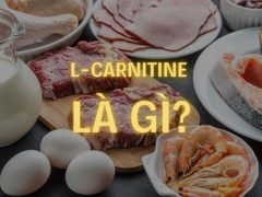 L- Carnitine uses