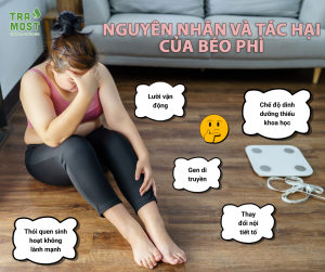 Tác hại của béo phì avt